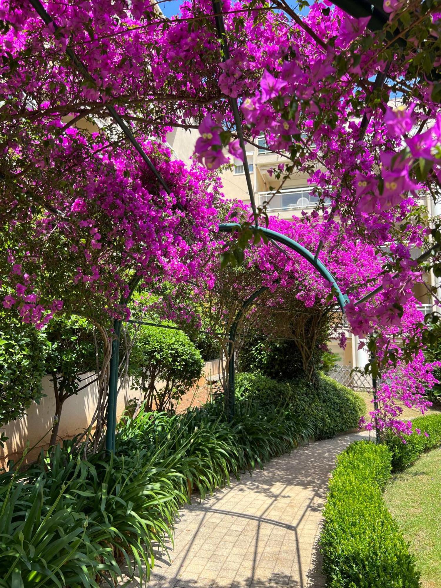 Apartment Paradis